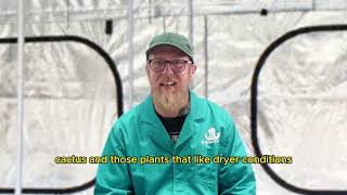 Tips From The Tent 7  Perlite vs Vermiculite Which One Does Your Garden Really Need [upl. by Lynnworth]