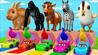 Long Slide Game With Elephant Gorilla Buffalo Hippopotamus Tiger  3d Animal Game  Funny 3d Animals [upl. by Denoting908]