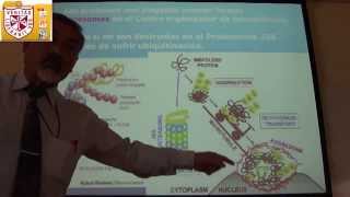 Biología  Citoesqueleto II  H Lezama [upl. by Timrek635]