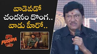 Rajendra Prasad Comments on Allu Arjun and Pushpa 2 The Rule Movie  Filmyfocuscom [upl. by Earvin]