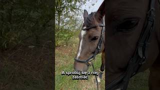 KRYZYS WIEKU ŚREDNIEGO 🤡 horse equestrian riding shorts funny grzyby2024 [upl. by Ahsratal632]