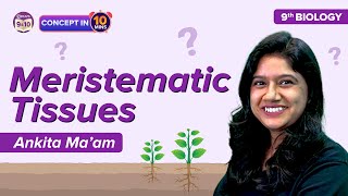 Meristematic Tissues Class 9 Science Biology Introduction amp Classification  CBSE Class 9 Exams [upl. by Berna]