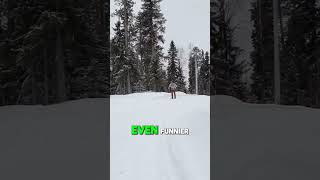 Skiing Confidence Gone Wrong Watch the Fail 🎿😅 shorts [upl. by Aleka206]