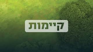 הכירו את Leadax Roov [upl. by Sirdna]