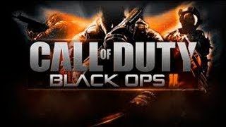 BO2 jogando System Link  zuera da galera [upl. by Buford]