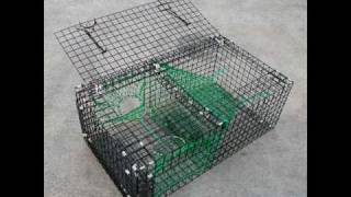 Collection of Lobster Traps Cuttlefish Traps and Prawn Traps [upl. by Arlana]