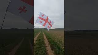 Georgian flag waving in Austrian wind 🇬🇪 flag flagwaving georgia sakartvelo [upl. by Aihselef]