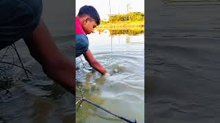 Fish lover content short video twolessfishinthesea [upl. by Vitoria]