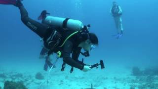 UMT amp Heriot Watt University Scientific Diving Team [upl. by Hauhsoj858]