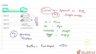 Rod shaped bacteria are called [upl. by Eelydnarb]