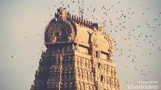 Tiruvannamalai temple [upl. by Eynttirb]