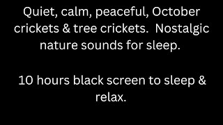 Quiet calm peaceful October crickets amp tree crickets black screen sleep relax 10 hour cricket sound [upl. by Halford]