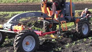 Integrating Cultivation into Weed Management [upl. by Menken]