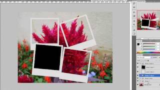 poze tutorial photoshop multiplier pic polaroid effect boitan florin blog [upl. by Atnoed]