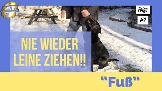 2 Folge 😰😰 Leine ziehen 😡Fuss Leinenführigkeit das perfekte Hundetraining 👍💪 [upl. by Carhart]