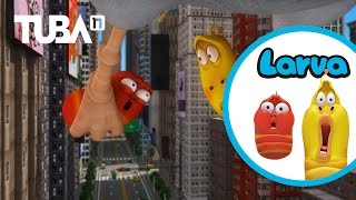 LARVA BAGIAN 1 EPISOD 160180 Kartun Larva Terbaru 2023  Kartun 3d 2023  SMToonEntertainment [upl. by Ivana915]