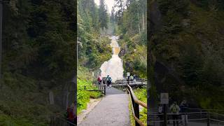 The roaring Triberg waterfall in Black Forest is a memorable attraction beautifulgermany shorts [upl. by Nywroc]