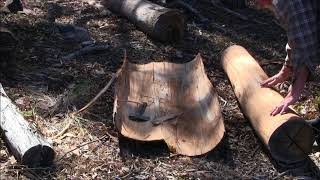 Debarking Dead Trees Shelter Roofing Cordage Material amp Bush Tucker By Keith H Burgess [upl. by Benis]