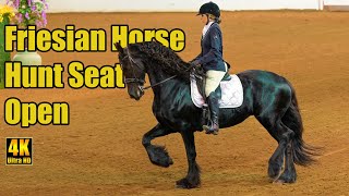 Friesian Horse Hunt Seat Open at Carousel Charity Horse Show [upl. by Ahsea]