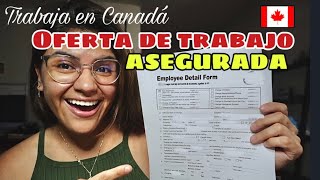 6 maneras EFECTIVAS de conseguir una OFERTA LABORAL en Canadá 🇨🇦 ✅Oferta de trabajo asegurada [upl. by Ailahs]