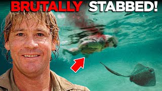 The DEADLY Last Minutes Of Steve Irwin The Crocodile Hunter [upl. by Mikkanen867]