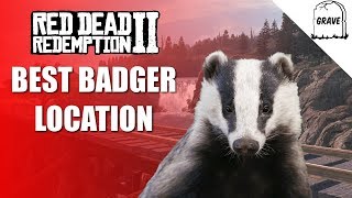 Red Dead Online Badger Location  Daily Challenge RDR2 [upl. by Nigle679]