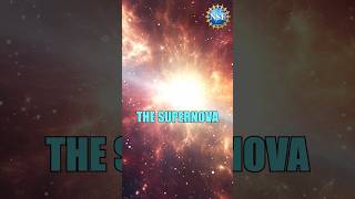 Can a Star Survive Supernova Explosion ZOMBIE shorts science space [upl. by Vonnie431]