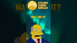 NORTHERN LIGHTS x The Simpsons simpsons comedy funny [upl. by Sinnelg]