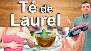 Té De Laurel En Ayunas  Beneficios Y Usos De La Hoja De Laurel Para Tu Salud y Belleza [upl. by Fellner931]