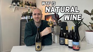 WTF is Natural Wine [upl. by Cadmar]