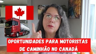 MOTORISTA DE CAMINHÃO NO CANADÁ  Busca por EMPREGO e o que as empresas EXIGEM [upl. by Ikuy777]