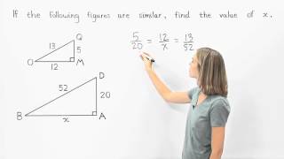 Similar Triangles  MathHelpcom [upl. by Nered]