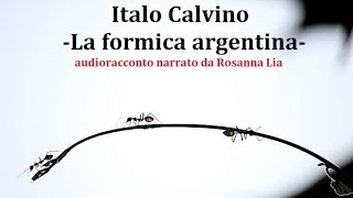 Italo Calvino La formica argentina Audioracconto [upl. by Eulau]