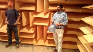 Did You Know Video IAC Anechoic Chambers [upl. by Lledroc]