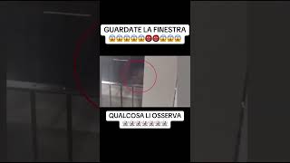 GUARDATE LA FINESTRA 😱😱😱 reels youtube parnormal shorts reels reelsvideo ghost [upl. by Longawa]