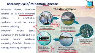 What is Minamata Disease   Minamata Disease అంటే ఏమిటి  La Excellence [upl. by Nica]