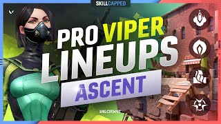 The BEST PRO VIPER LINEUPS SPOTS amp SETUPS for ASCENT [upl. by Siuoleoj402]