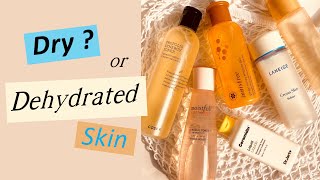 Best Hydrating Toners for Oily Dry and Combination skin  Dry Vs Dehydrated Skin [upl. by Pratte866]