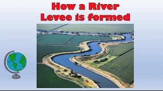 Natural River Levees  How are they formed Labelled diagram and explanation [upl. by Ahsekram907]