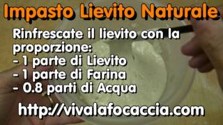 Come Riattivare il Lievito Naturale Vecchio [upl. by Iilek]