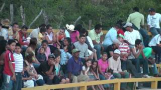 JALEACA DE CATALAN EN SU CORRAL DE TOROS [upl. by Notnyw573]