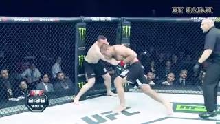 Mirko Cro Cop vs Gabriel Gonzaga 2 [upl. by Shirberg]