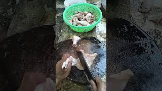 How to cut chicken potong 4 dada kanan chicken tutorial shorts [upl. by Jennica]