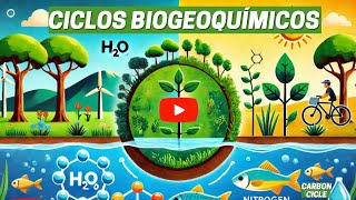 Ciclos Biogeoquímicos  Uma Visão Geral  ANIMAÇÃO [upl. by Etnahsa]