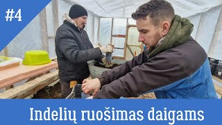 Indelių ruošimas daigams  S24 [upl. by Naillij]