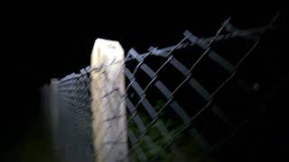 Exploring Meldon Viaduct and the abandoned Meldon train station at night Aug 2022 [upl. by Sylirama]