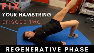 How to Fix Your Hamstring EP 2 The Regenerative Phase [upl. by Harobed683]