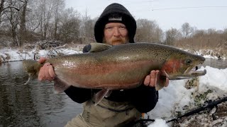 Simple amp Effective Rig For Float Fishing For Steelhead  Shot Patterns For Float Fishing Steelhead [upl. by Hays]