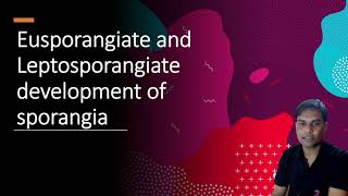 Eusporangiate and Leptosporangiate Development of Sporangia  Part 1 [upl. by Windy]