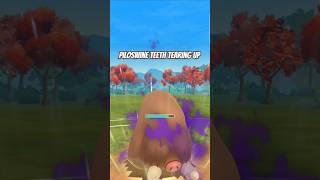 Piloswine showcase great league pokemon pokemongo pokemongame gblteam greatleaguebattle shorts [upl. by Pastelki]